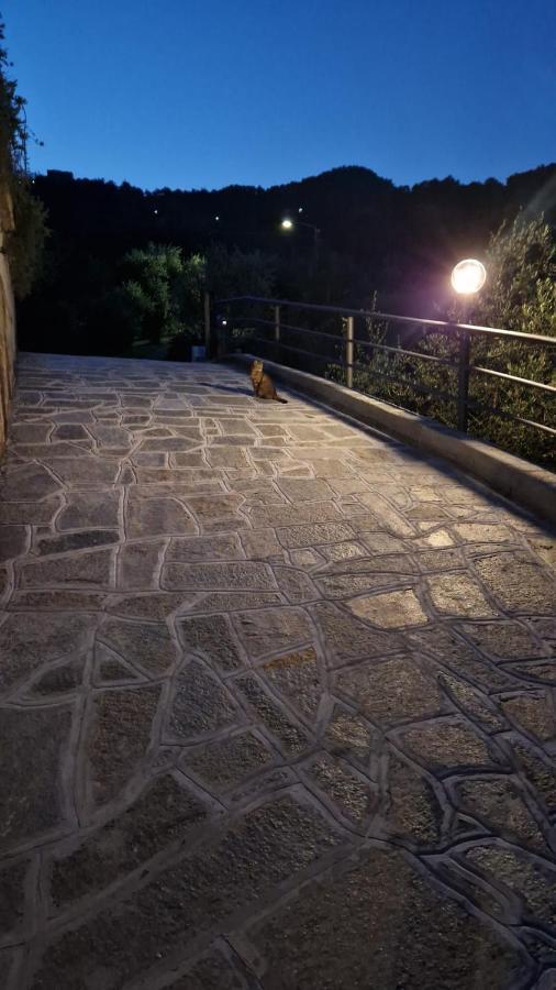 Villa Degli Ulivi Tivegna Bagian luar foto