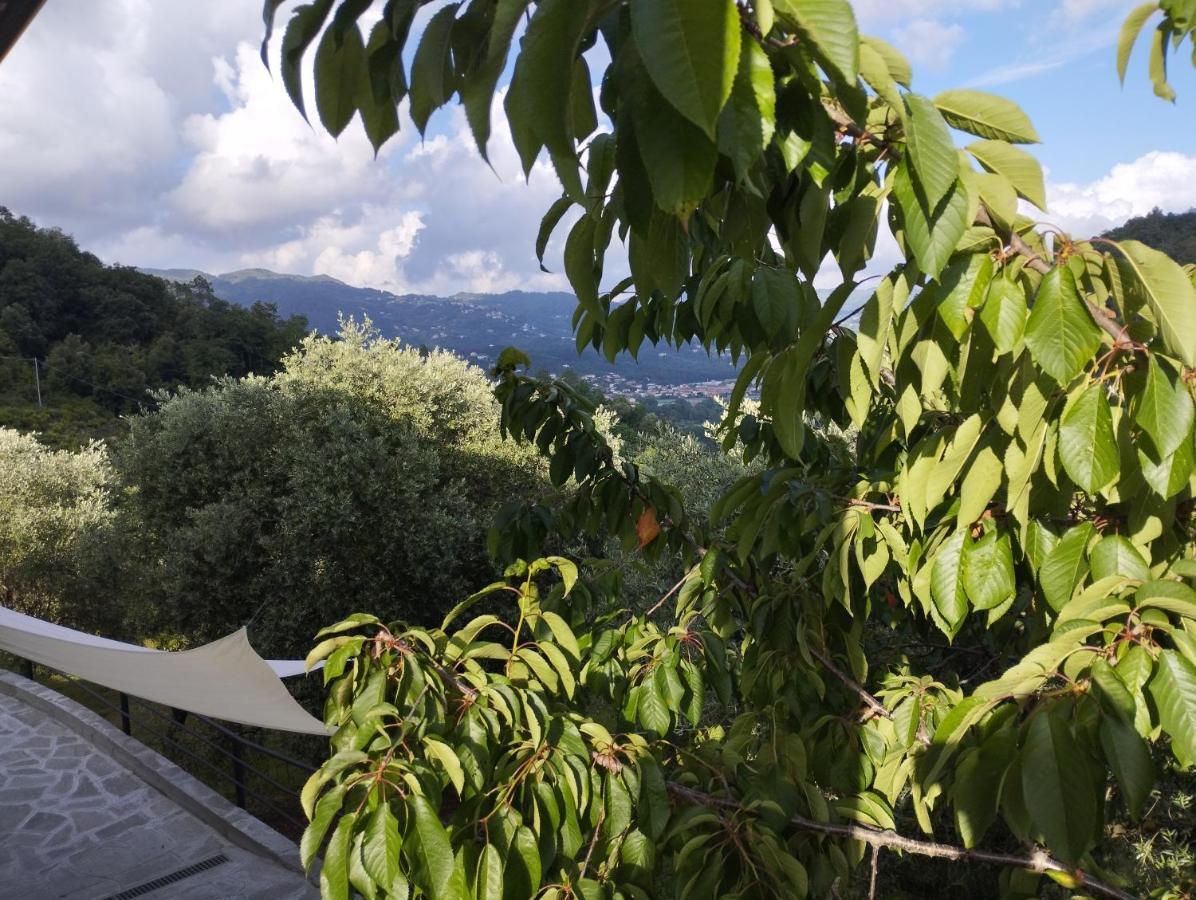 Villa Degli Ulivi Tivegna Bagian luar foto