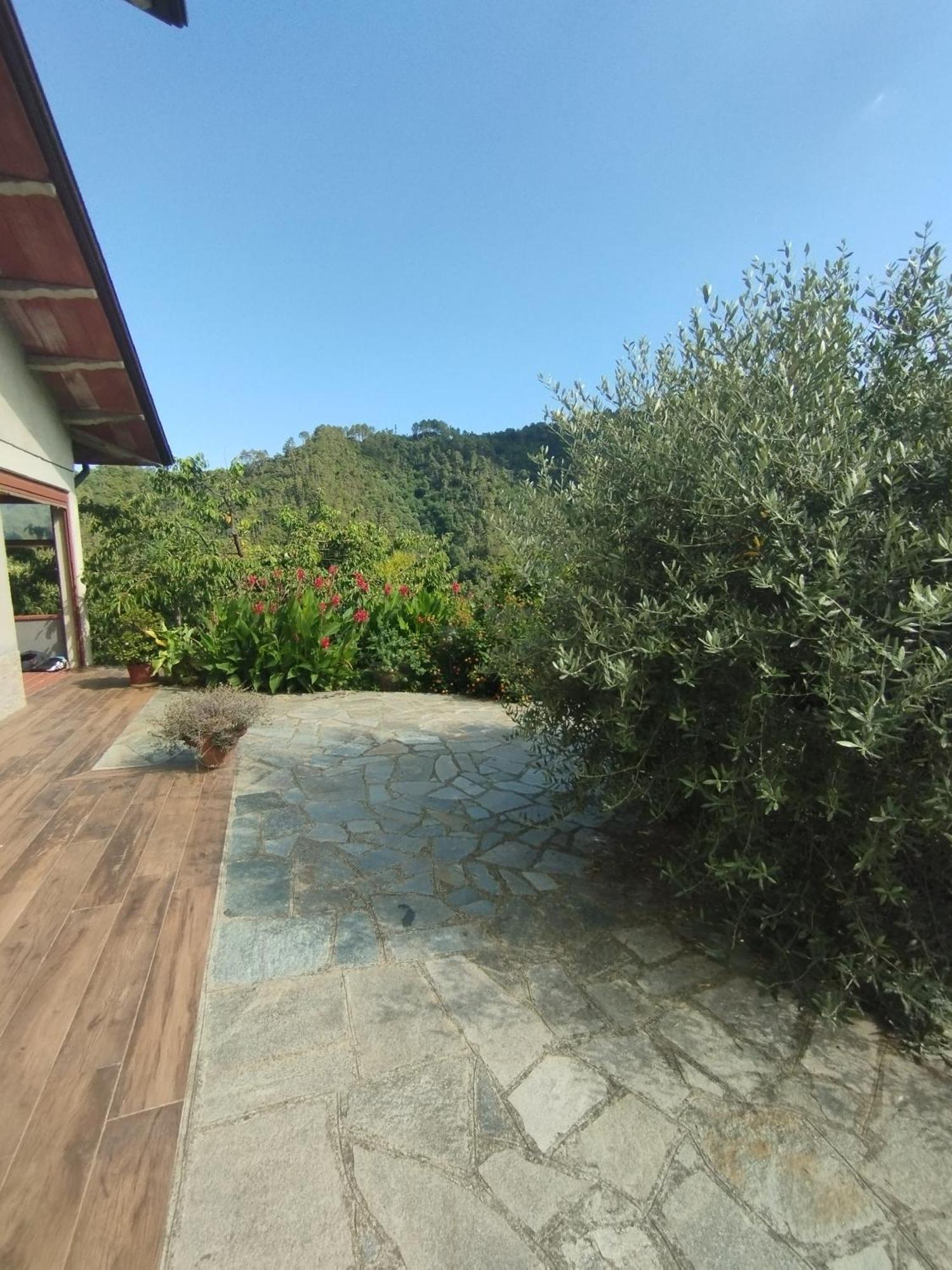 Villa Degli Ulivi Tivegna Bagian luar foto