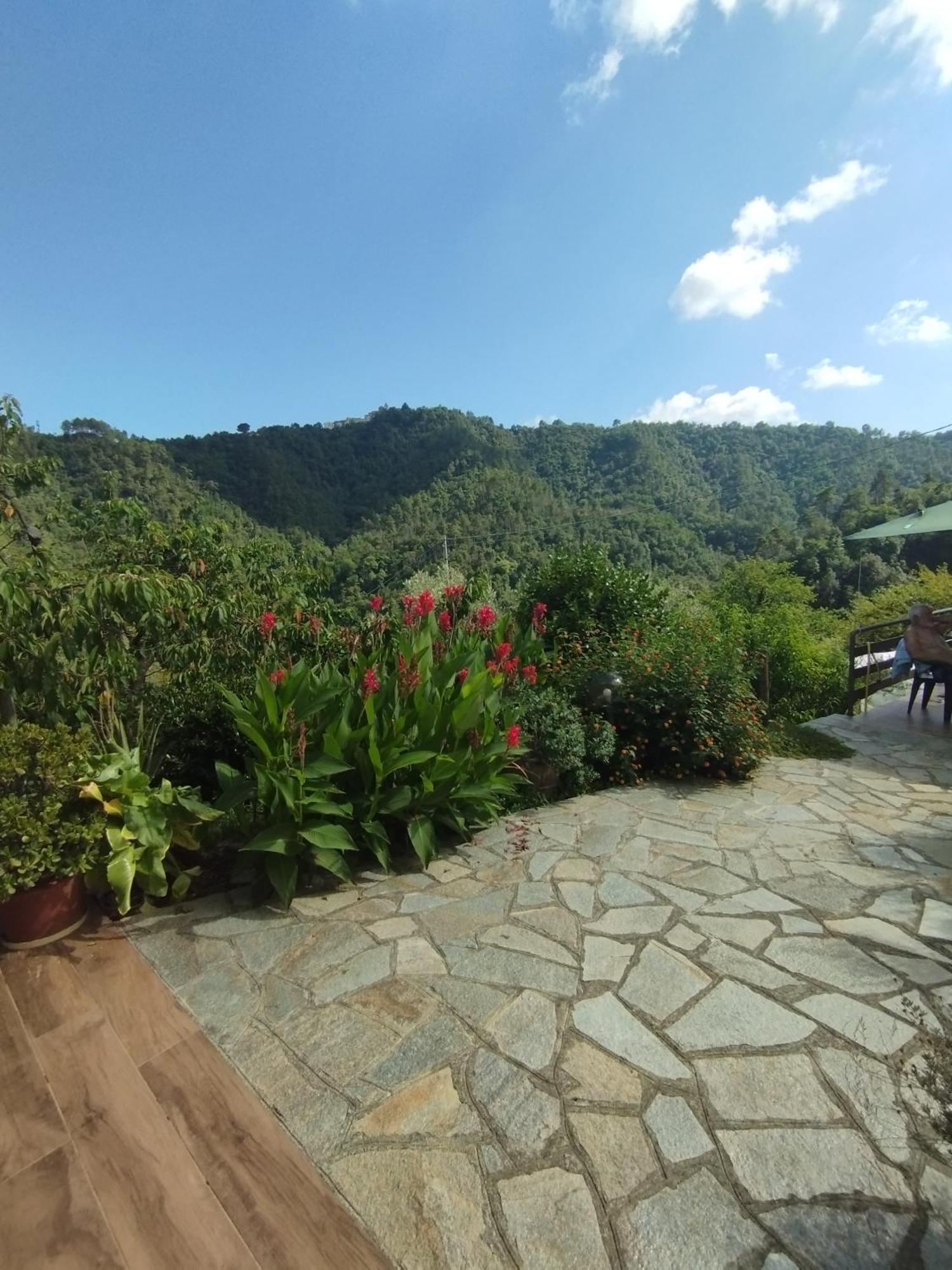 Villa Degli Ulivi Tivegna Bagian luar foto