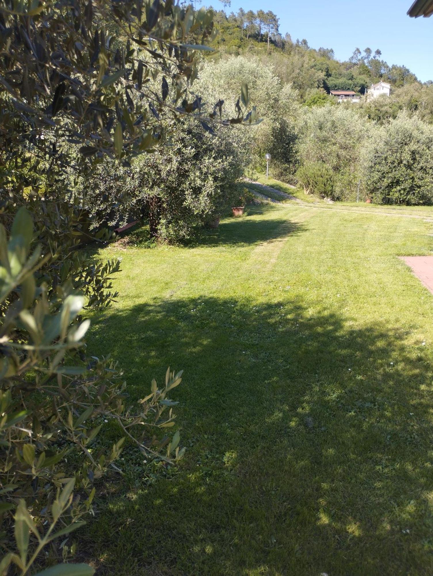 Villa Degli Ulivi Tivegna Bagian luar foto