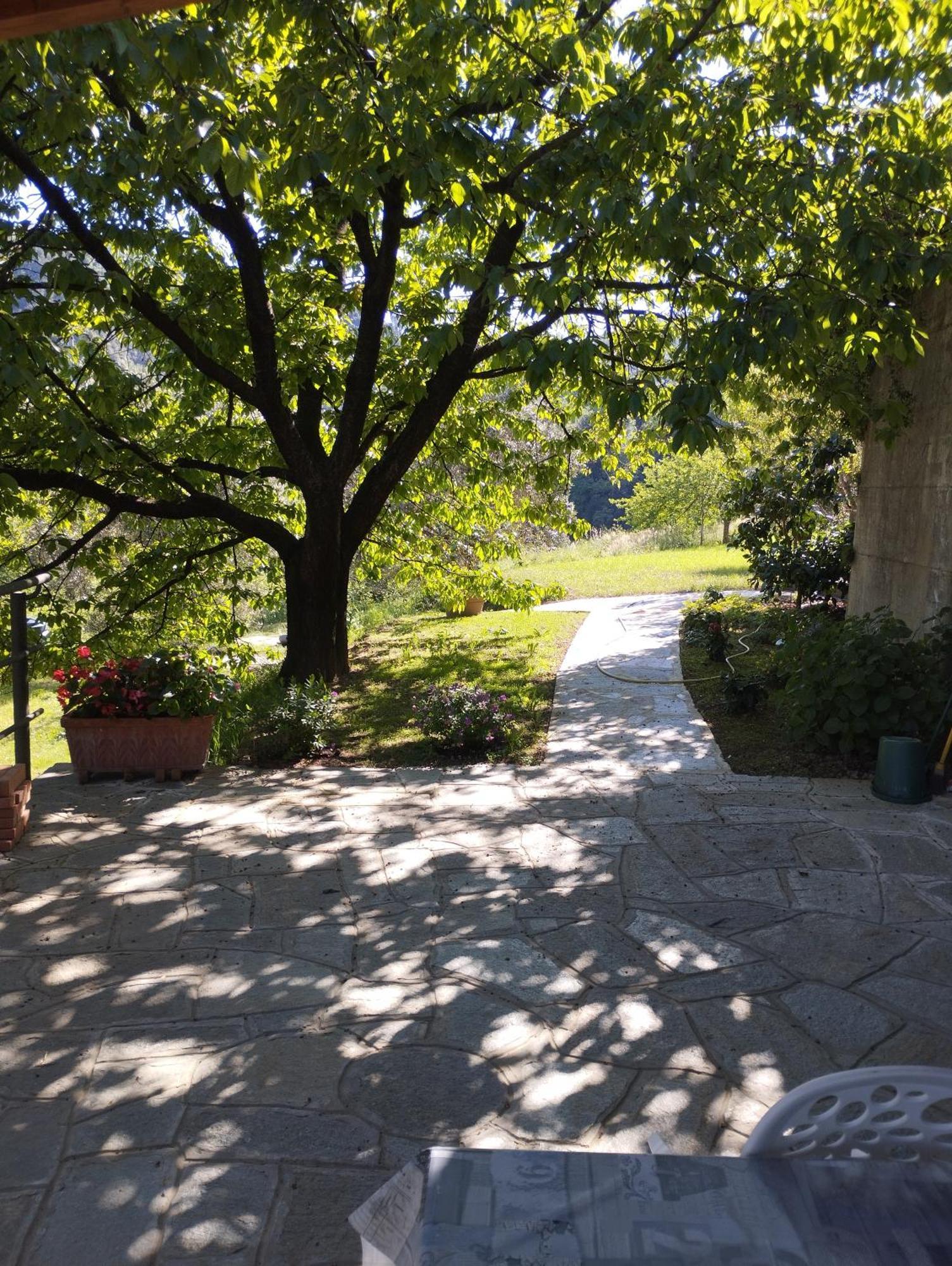 Villa Degli Ulivi Tivegna Bagian luar foto