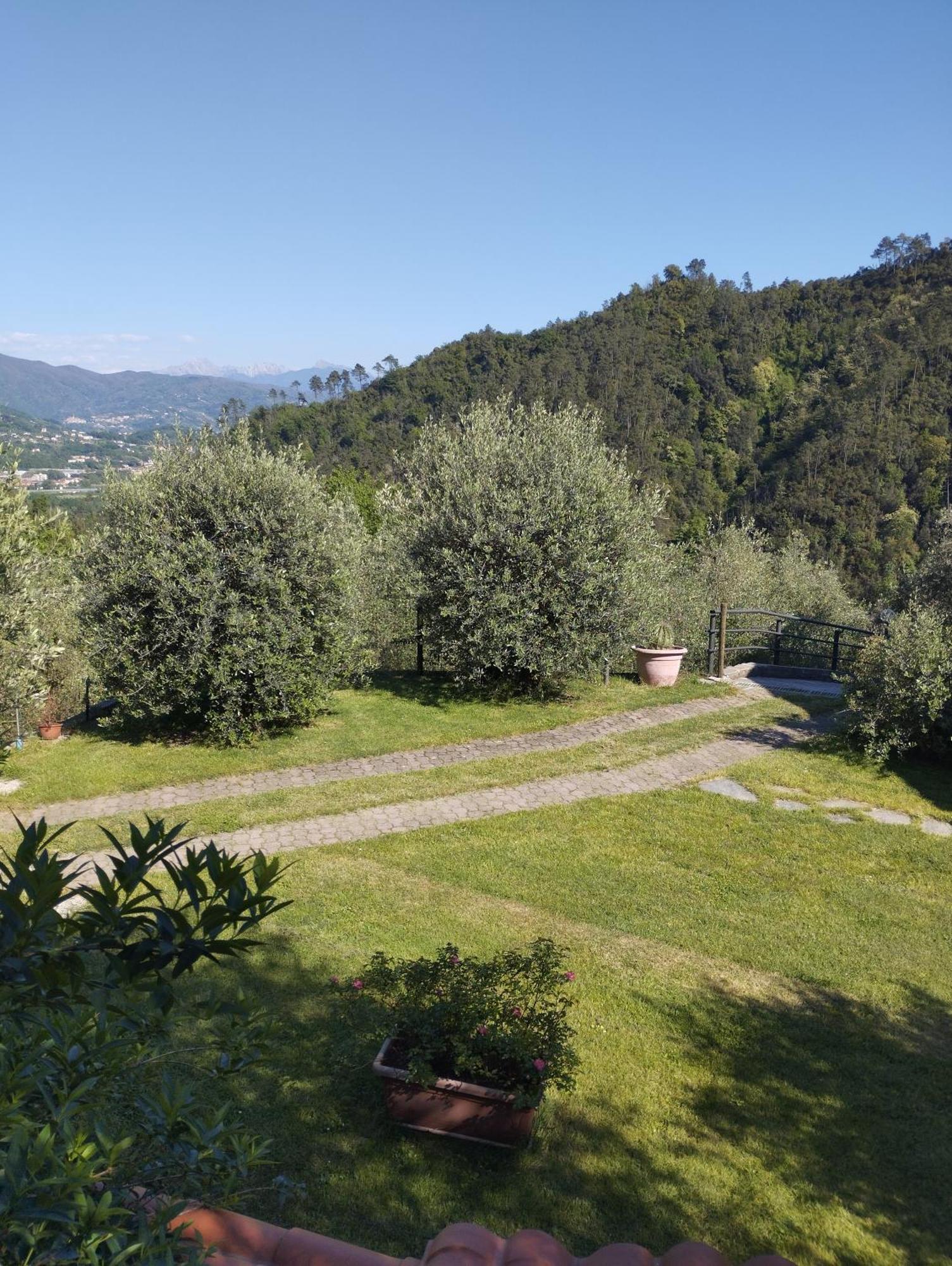 Villa Degli Ulivi Tivegna Bagian luar foto